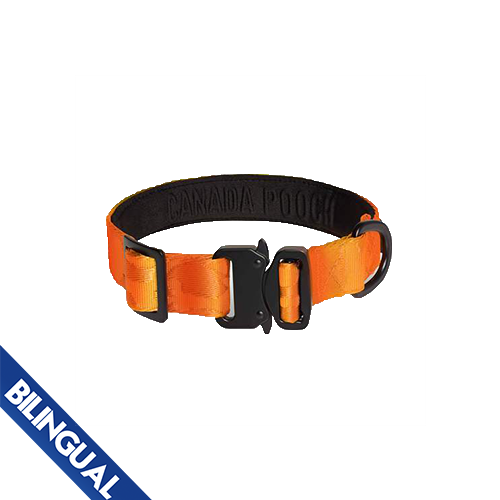 CANADA POOCH UTILITY COLLAR ORANGE