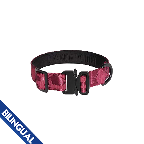 CANADA POOCH UTILITY COLLAR PLUM