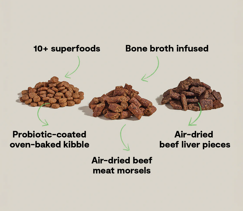 OPEN FARM EPIC BLEND BEEF & SUPERFOOD RECIPE DRY DOG FOOD 18LB
