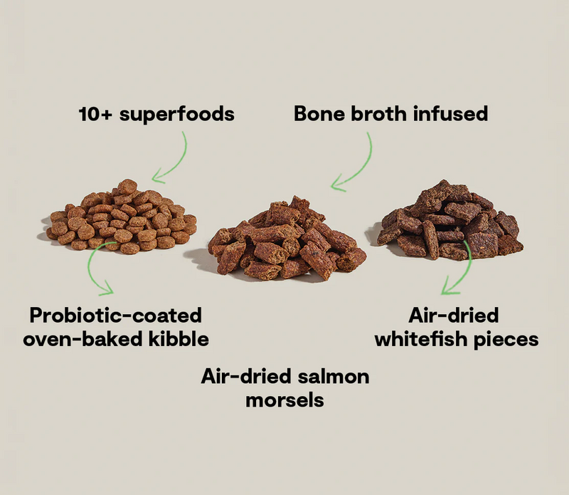 OPEN FARM EPIC BLEND SALMON & SUPERFOOD RECIPE DRY DOG FOOD 3.5LB