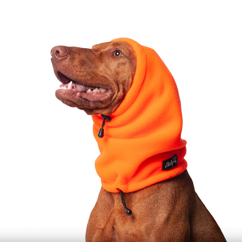 CHILLY DOGS - HEAD MUFF DOG EAR WARMER, BLAZE ORANGE