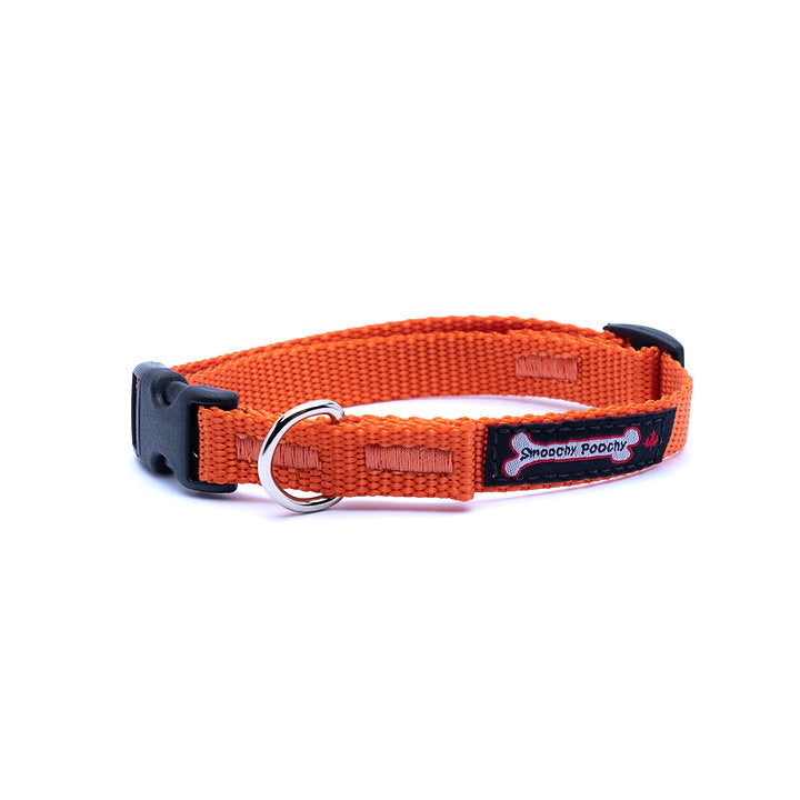 SMOOCHY POOCHY NYLON 5/8” COLLAR SMALL