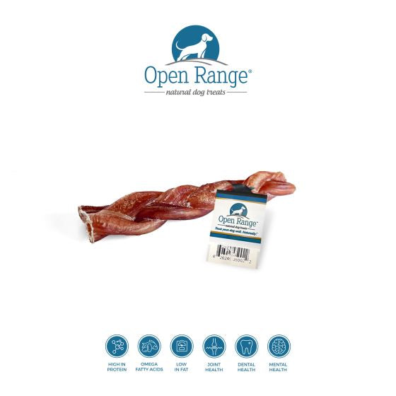 OPEN RANGE BULLY BRAID DOG 11-12IN