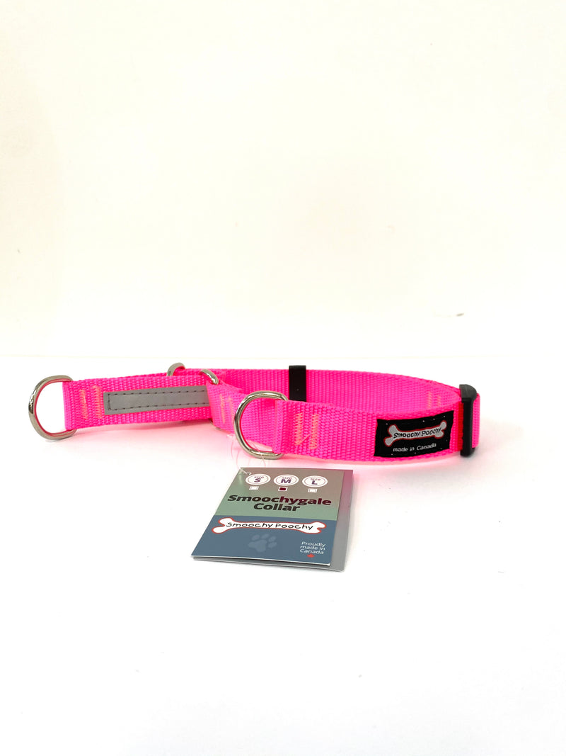 SMOOCHY POOCHY NYLON MARTINGALE NO CHAIN- MEDIUM 1”