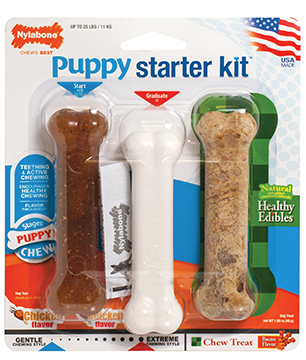 NYLABONE PUPPY STARTER KIT REGULAR