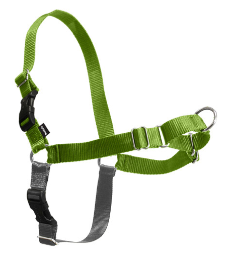 PETSAFE DELUXE EASY WALK HARNESS SMALL DOG