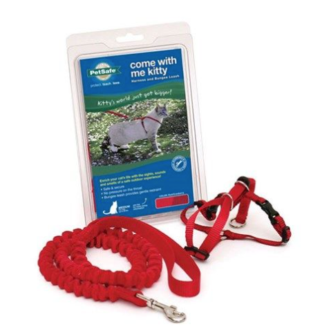 PETSAFE COME WITH ME KITTY HARNESS BUNGEE LEASH SMALL CAT