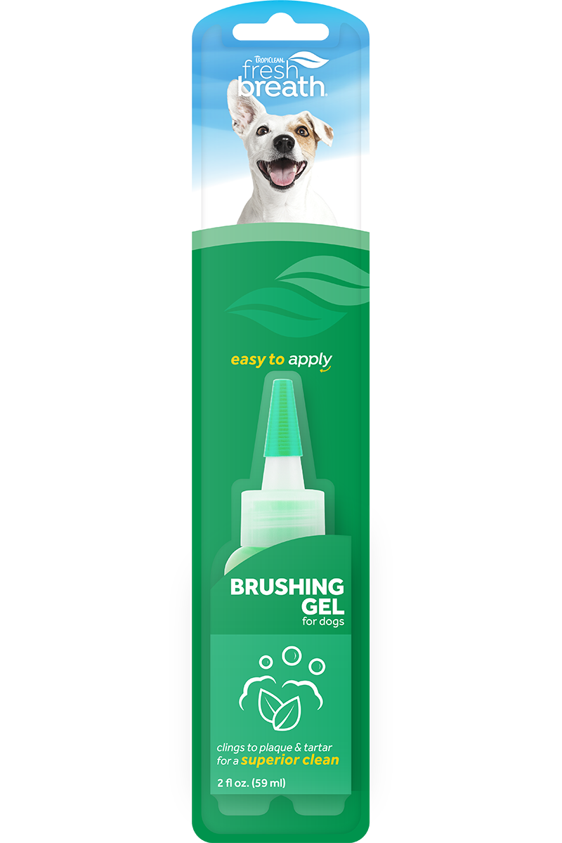 FRESH BREATH CLEAN TEETH ORAL CARE GEL 2OZ