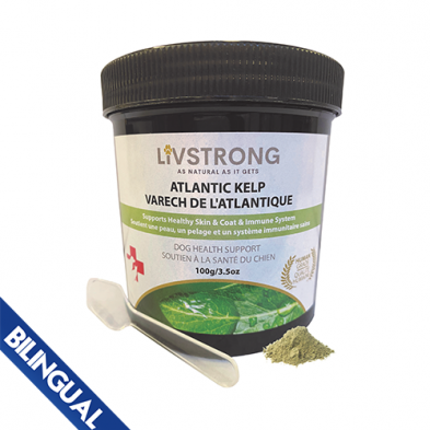 LIVSTRONG ATLANTIC KELP POWDER 100 GM