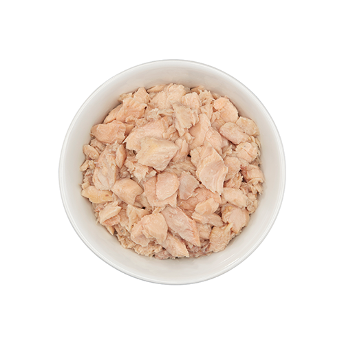 TIKI CAT WILD SALMON RECIPE IN SALMON CONSOMMÉ WET CAT FOOD 6OZ